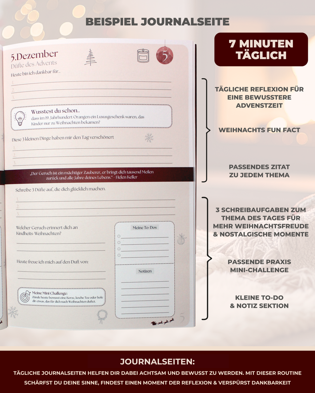 Bundle - 2x Meine Weihnachtssinne | Adventskalender Journal